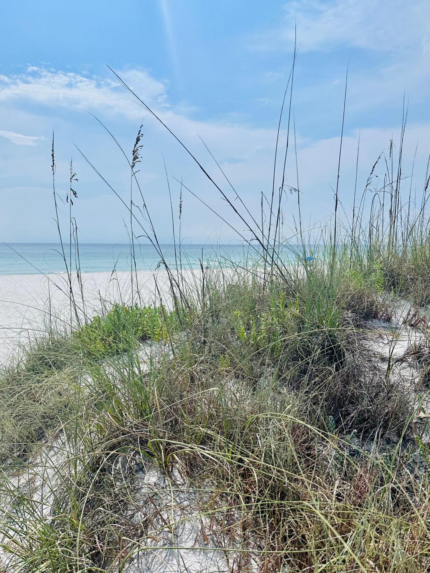 Sea Salt Vacation Home, Private Pool - Walk To Beach Panama City Beach Esterno foto